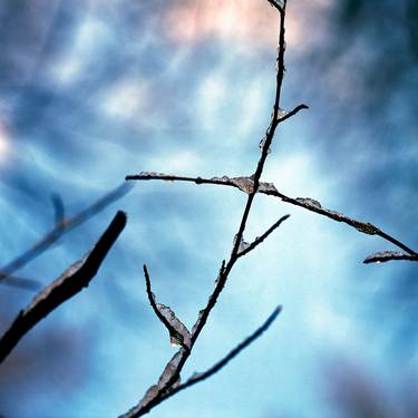 Original Abstract Nature Photography by Gonzalo Contreras del Solar