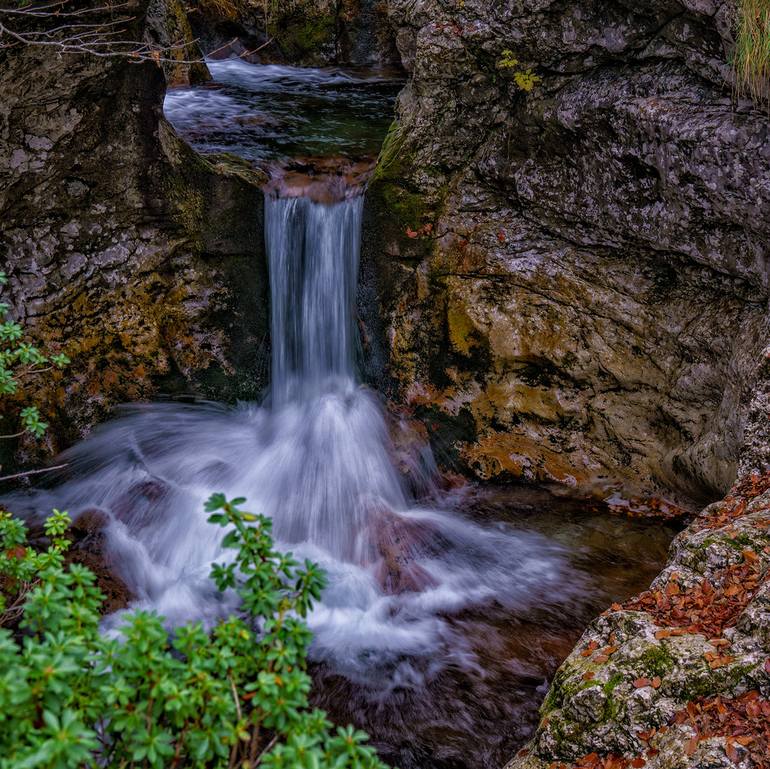 Original Nature Photography by Gonzalo Contreras del Solar