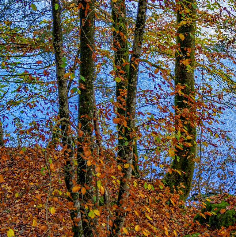 Original Other Nature Photography by Gonzalo Contreras Del Solar