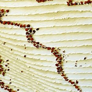 Collection Artists Working in the Middle East