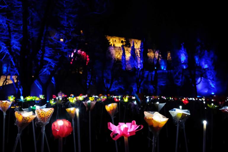 Original Floral Photography by Filippo Venezia | Abstract Art on Paper | colors in the night