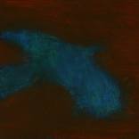 Bluebird in flame by Tou Toa