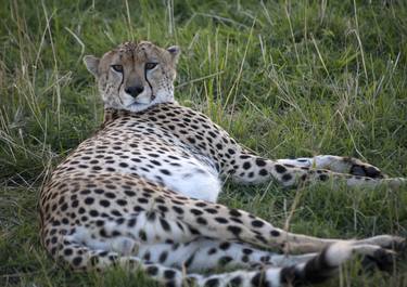 Masai Mara - Limited Edition 1 of 1 thumb