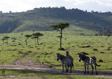 Masai Mara - Limited Edition 1 of 1 thumb