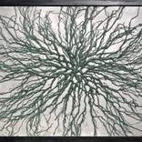 Network by fabrice covelli