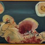 Collection Biophilic Art