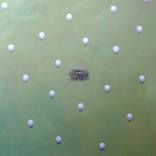 Collection NPQ's Spring 2013 Edition