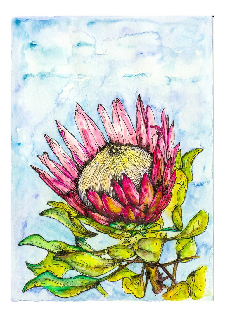 Original Botanic Drawing by Gillian Robus | Art Deco Art on Paper | For the love of Protea #1