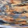Where do we fit in?  Are humans too self-important?  Are we being good stewards of this planet?