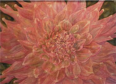 Original Floral Paintings by Terri Austin-Beech