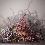 Collection Fresh Faces