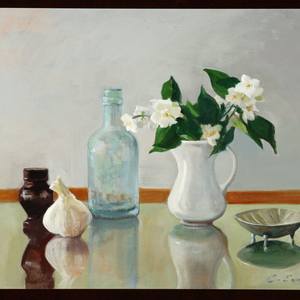 Collection Still Lifes