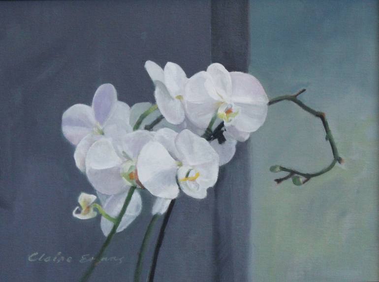 Orchid Spray Painting By Claire Evans Saatchi Art - How To Paint A White Orchid