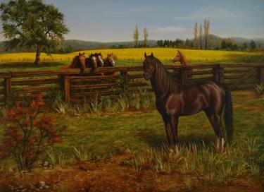 Print of Impressionism Horse Paintings by Loreto Sanhueza