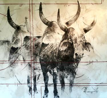 Print of Cows Drawings by Riaan Zyl