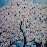 Magnolia by Birgit Grassl