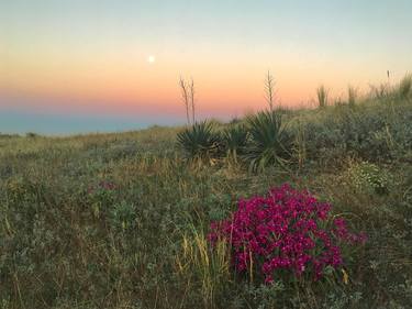 Original  Photography by Champigny Valérie