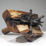 Cleft Oak by Theo Shields