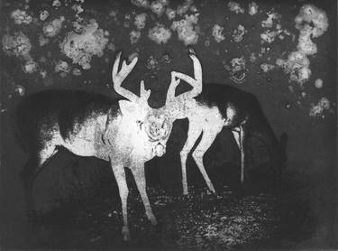 Illumination von Bock und Ricke (Illumination of Buck and Doe), Limited Edition 5 of 10 thumb