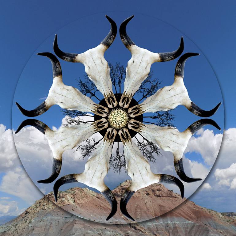 Print of Conceptual Nature Photography by Ellen Jantzen