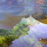 Harmonize by Ellen Jantzen