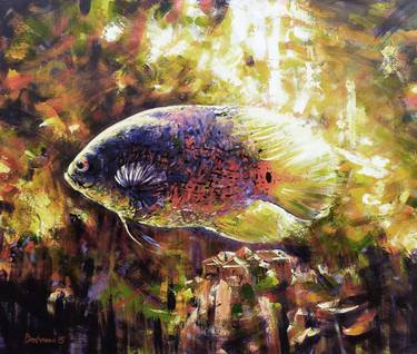 Original Fish Paintings by Gabriel Bodnariu