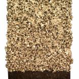 Collection Cork Minis