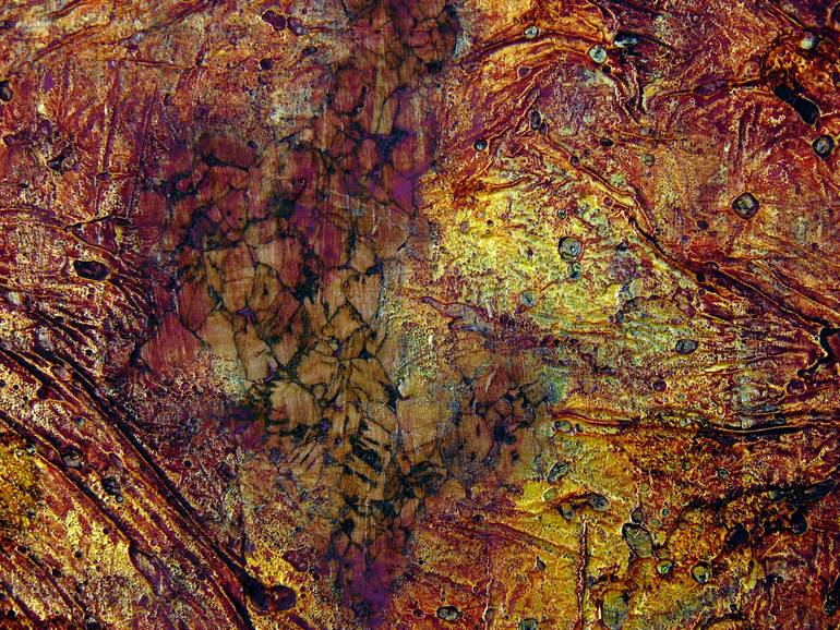 Original Modernism Abstract Painting by Carla Sa Fernandes