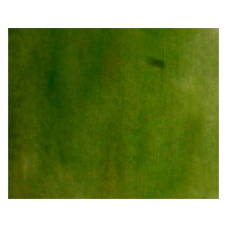 Original Abstract Animal Painting by Flavio Cesarini