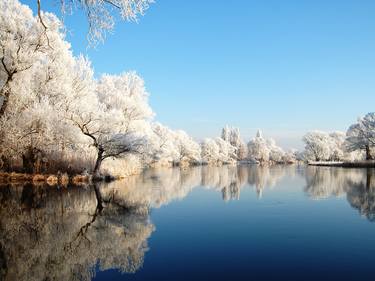 Print of Seasons Photography by A Frost