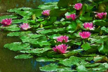 Pink water lilies bloom in a pond. Impressionism style thumb