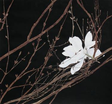 Original Realism Nature Paintings by Sally Spens