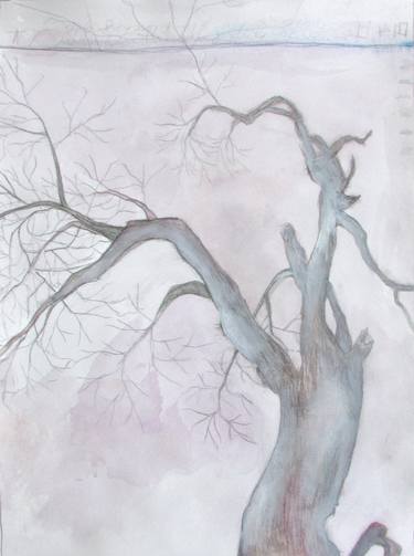 Original Illustration Nature Paintings by Michael Rider
