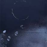 In praise of shadows (enso) by Tim Bailey