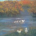 Ducks In A Safe Place by Sheri Berman