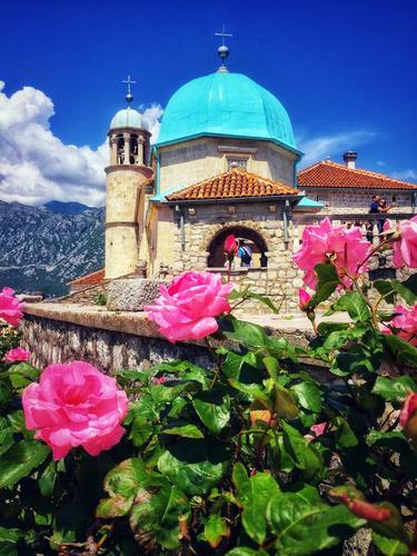 Pink Roses and Our Lady of the Rocks, Perast, Montenegro thumb