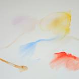 Collection Wild Watercolour