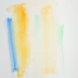 Collection Wild Watercolour