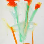 Collection Fresh Water Colour