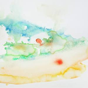Collection Wild Watercolour