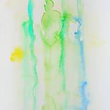 Collection Wild Watercolour