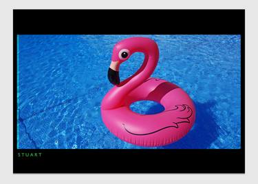 Pretty Flamingo - Limited Edition 1 of 3 thumb