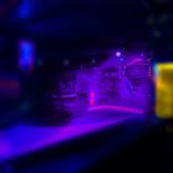 Collection Night Moves