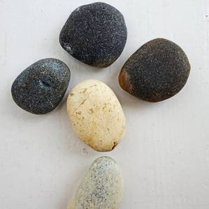 Collection Shingle Style