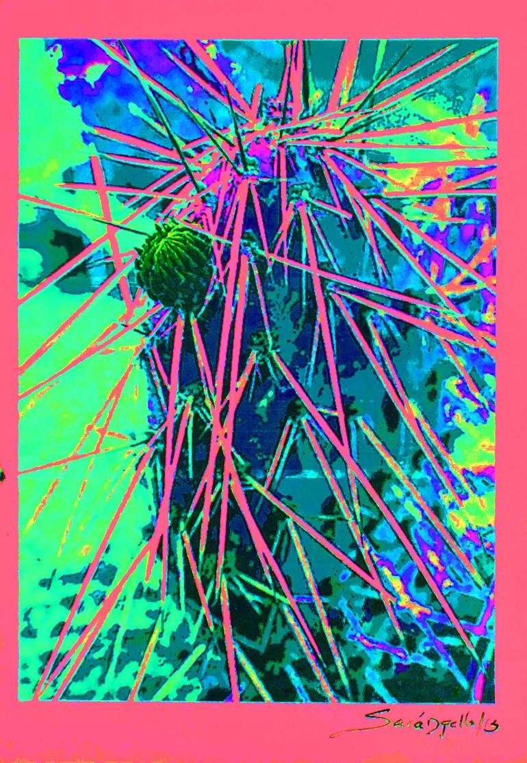 Original  Photography by raquel sarangello