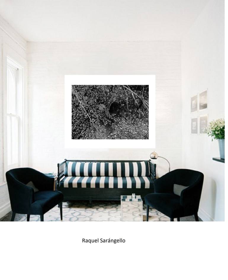 Original Contemporary Abstract Photography by Raquel Sarangello