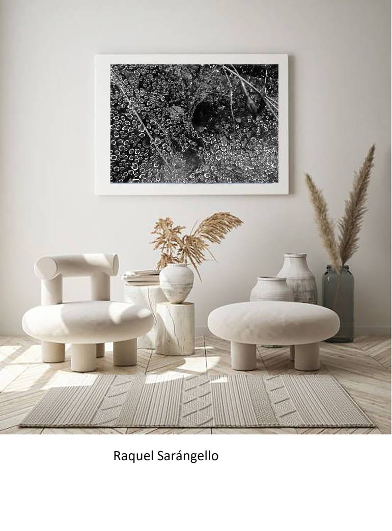 Original Contemporary Abstract Photography by Raquel Sarangello