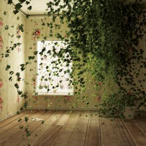 Secret Garden