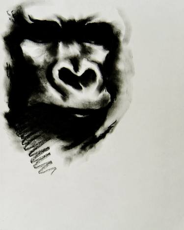 Print of Documentary Animal Drawings by Simone Berrini