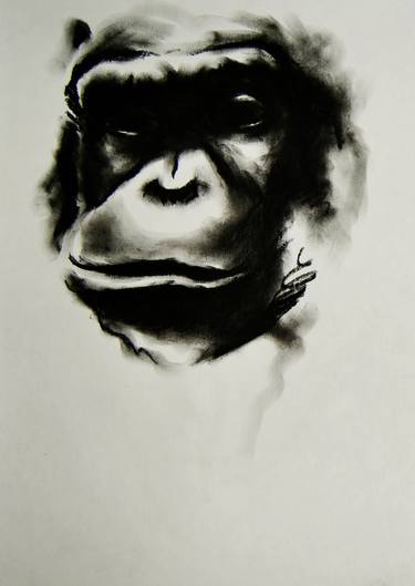 Original Animal Drawing by Simone Berrini